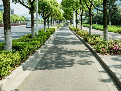 lorem ipsum 2